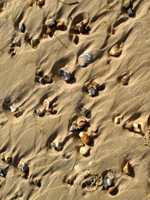 Pattern left in sand