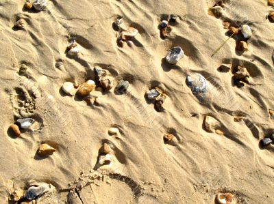pebbles in the sand