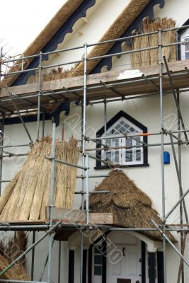 Thatched-roof house