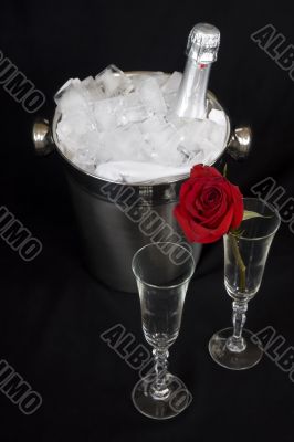 Iced champagne with Rose