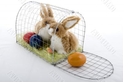 Easter bunny in a cage