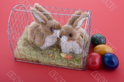 Easter bunny in a cage