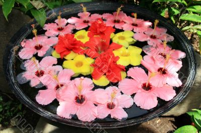 floral arrangment