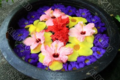 colorful floral arrangment
