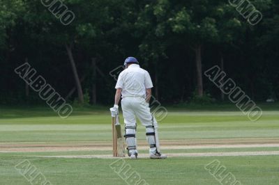 cricket batsman