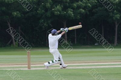 cricket batsman