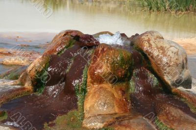 Spa spring