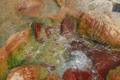 Spa spring