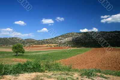 Landscape