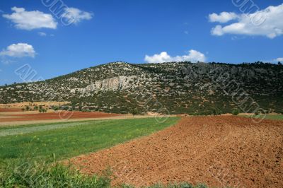 Landscape