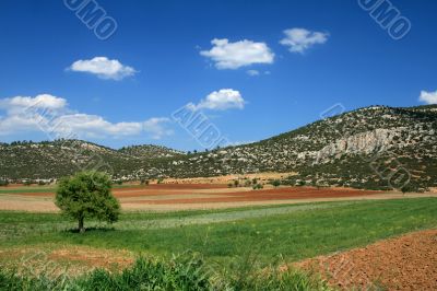 Landscape
