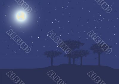 trees in the night