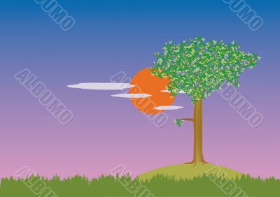  background of a single tree