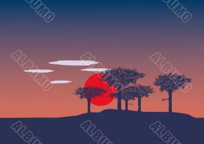 sunset