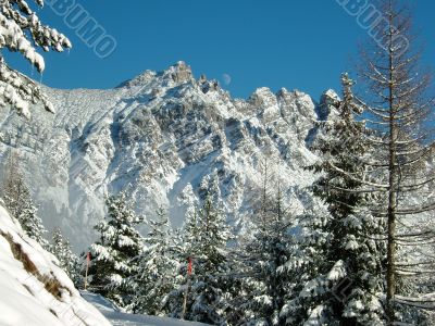 winter at the mountains