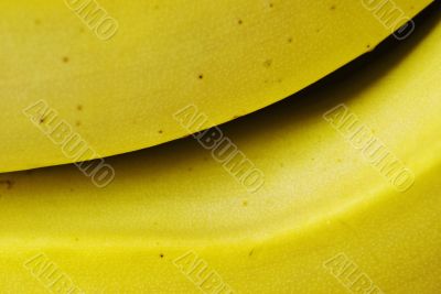 Banana close up