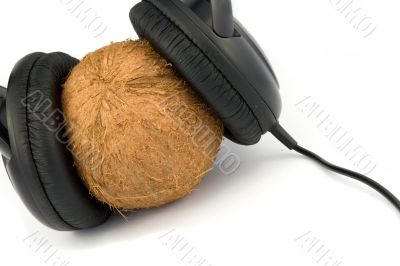 headphones on coconut