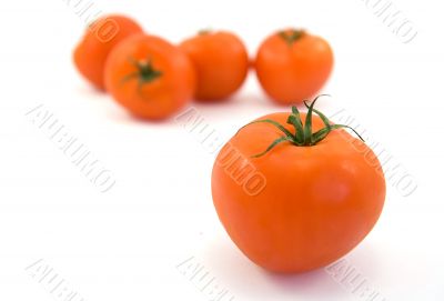 tomatos