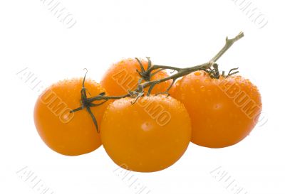 Ripe orange tomatoes