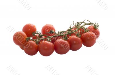 Ripe red tomatoes