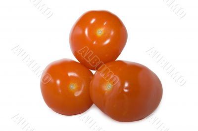 Tomatoes