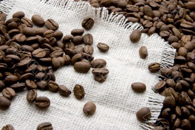 coffee beans