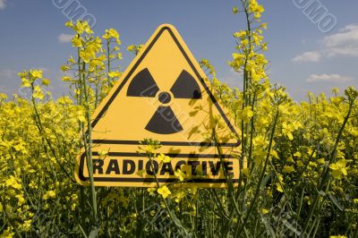 rape field with sign radio-active