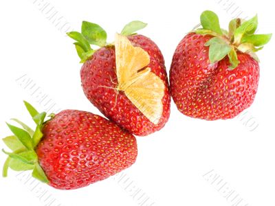 Strawberry butterfly