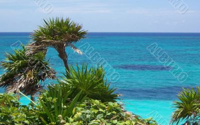 Hammock on tropical beach