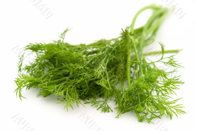 green dill