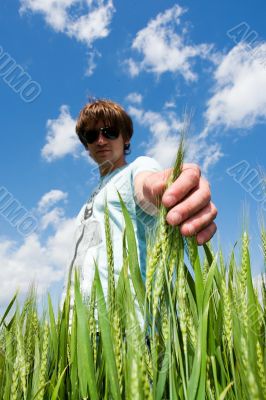 man touches ears of rye