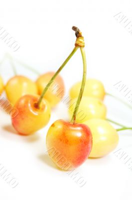 orange cherries