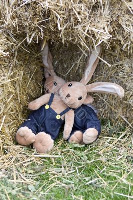 Easter Bunny from substance