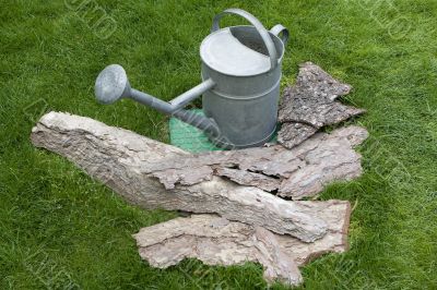 watering-can