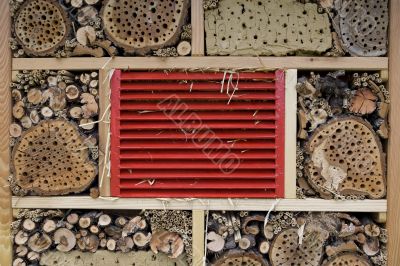 Bees-house