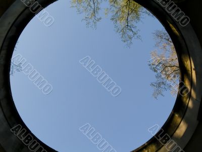 Ring and blue sky