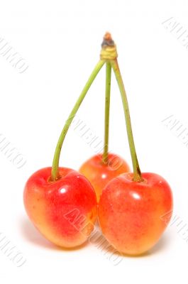 Orange cherries