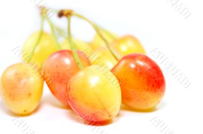 Orange cherries