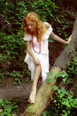 Near tree