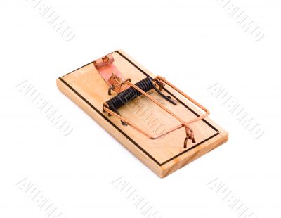 Isolated Mouse Trap