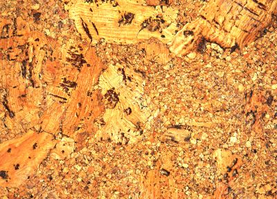Cork texture