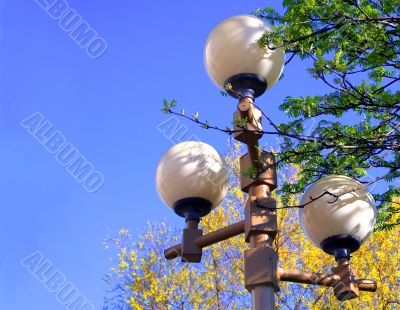 Street lamp among green foliage