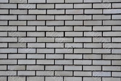 White brick wall