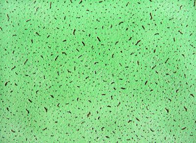 Green texture