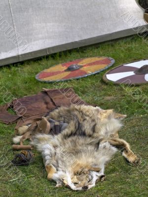 wolf fell