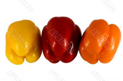 sweet peppers of three colors