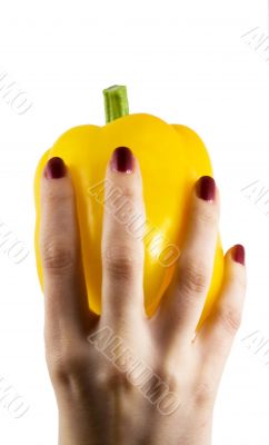 yellow pepper in a womanish hand