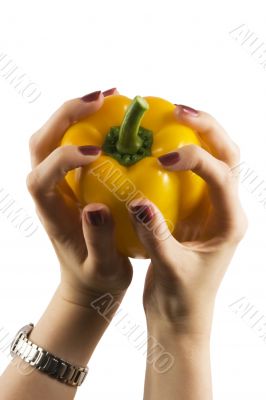 yellow pepper in a womanish hand