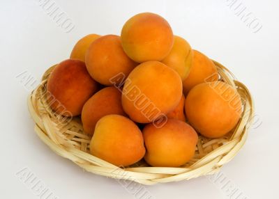apricots