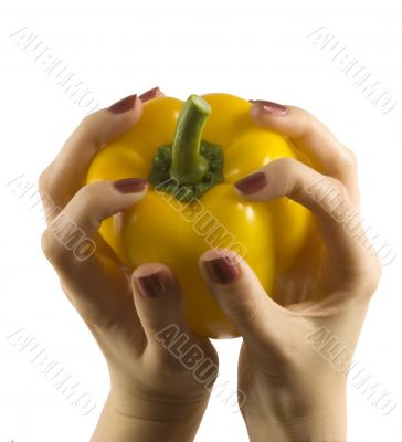  pepper in a womanish hand